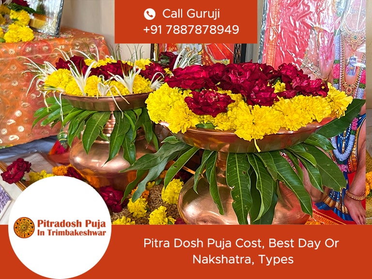 Pitra Dosh Puja Cost, Best Day Or Nakshatra, Types