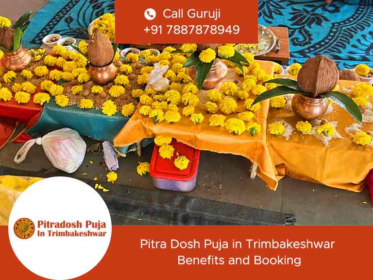Pitra Dosh Puja in Trimbakeshwar Benefits and Booking