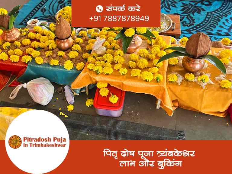 पितृ दोष पूजा त्र्यंबकेश्वर लाभ और बुकिंग