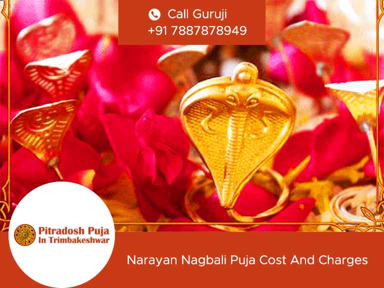 Narayan Nagbali Puja Cost And Charges