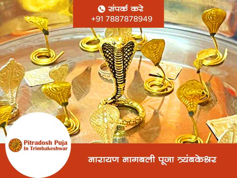 नारायण नागबली पूजा त्र्यंबकेश्वर