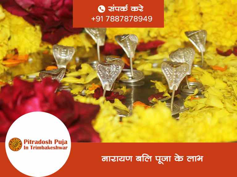 नारायण बलि पूजा के लाभ