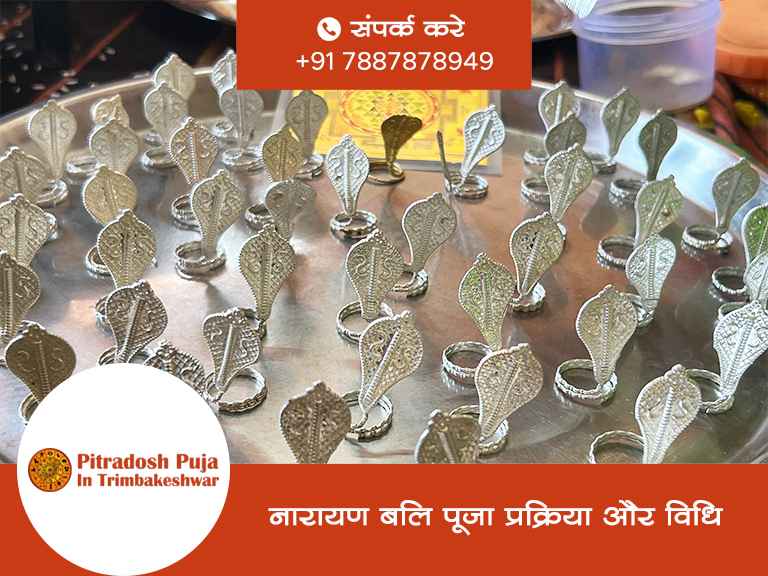 नारायण बलि पूजा प्रक्रिया और विधि